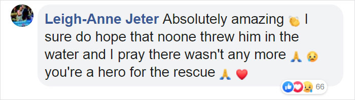 Kitten That Was Struggling To Stay Afloat In The Gulf Of Mexico Gets Spotted By A Fishing Boat That Saves Its Life Kitten That Was Struggling To Stay Afloat In The Gulf Of Mexico Gets Spotted By A Fishing Boat That Saves Its Life