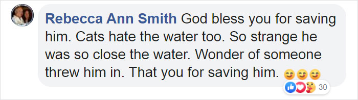 Kitten That Was Struggling To Stay Afloat In The Gulf Of Mexico Gets Spotted By A Fishing Boat That Saves Its Life Kitten That Was Struggling To Stay Afloat In The Gulf Of Mexico Gets Spotted By A Fishing Boat That Saves Its Life