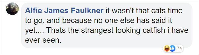 Kitten That Was Struggling To Stay Afloat In The Gulf Of Mexico Gets Spotted By A Fishing Boat That Saves Its Life Kitten That Was Struggling To Stay Afloat In The Gulf Of Mexico Gets Spotted By A Fishing Boat That Saves Its Life