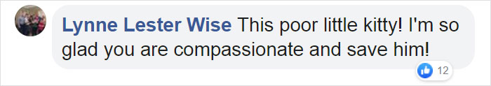 Kitten That Was Struggling To Stay Afloat In The Gulf Of Mexico Gets Spotted By A Fishing Boat That Saves Its Life Kitten That Was Struggling To Stay Afloat In The Gulf Of Mexico Gets Spotted By A Fishing Boat That Saves Its Life