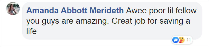 Kitten That Was Struggling To Stay Afloat In The Gulf Of Mexico Gets Spotted By A Fishing Boat That Saves Its Life Kitten That Was Struggling To Stay Afloat In The Gulf Of Mexico Gets Spotted By A Fishing Boat That Saves Its Life