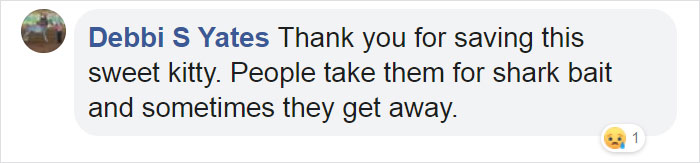 Kitten That Was Struggling To Stay Afloat In The Gulf Of Mexico Gets Spotted By A Fishing Boat That Saves Its Life Kitten That Was Struggling To Stay Afloat In The Gulf Of Mexico Gets Spotted By A Fishing Boat That Saves Its Life