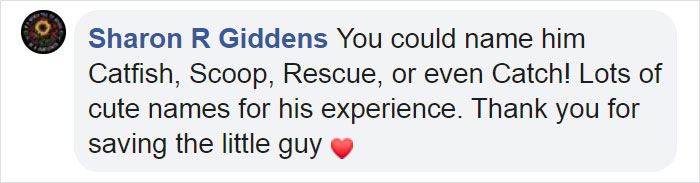 Kitten That Was Struggling To Stay Afloat In The Gulf Of Mexico Gets Spotted By A Fishing Boat That Saves Its Life Kitten That Was Struggling To Stay Afloat In The Gulf Of Mexico Gets Spotted By A Fishing Boat That Saves Its Life