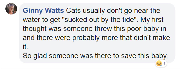 Kitten That Was Struggling To Stay Afloat In The Gulf Of Mexico Gets Spotted By A Fishing Boat That Saves Its Life Kitten That Was Struggling To Stay Afloat In The Gulf Of Mexico Gets Spotted By A Fishing Boat That Saves Its Life