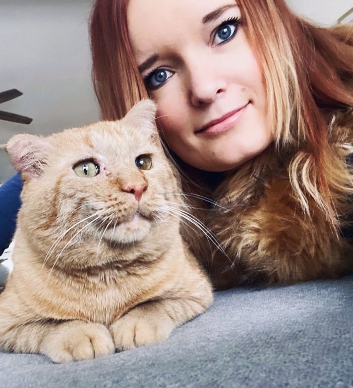 After Convincing Landlord, Woman Brings The Saddest Stray Cat Home, A Year Later, He’s Unrecognizable After Convincing Landlord, Woman Brings The Saddest Stray Cat Home, A Year Later, He’s Unrecognizable