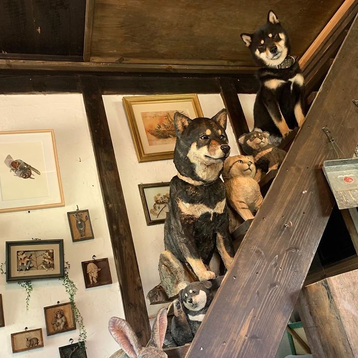 Cute Video Shows Dog Trying To Blend In Between Animal Sculptures Cute Video Shows Dog Trying To Blend In Between Animal Sculptures