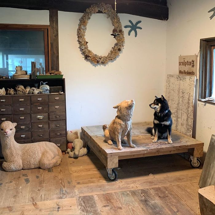 Cute Video Shows Dog Trying To Blend In Between Animal Sculptures