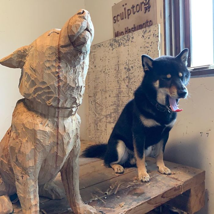 Cute Video Shows Dog Trying To Blend In Between Animal Sculptures Cute Video Shows Dog Trying To Blend In Between Animal Sculptures