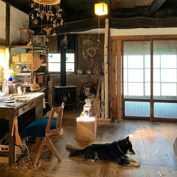 Cute Video Shows Dog Trying To Blend In Between Animal Sculptures