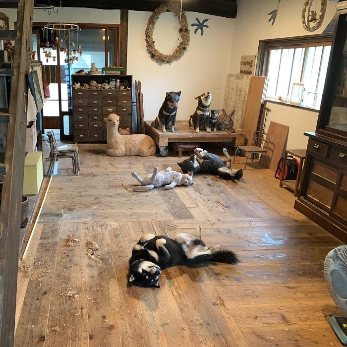 Cute Video Shows Dog Trying To Blend In Between Animal Sculptures