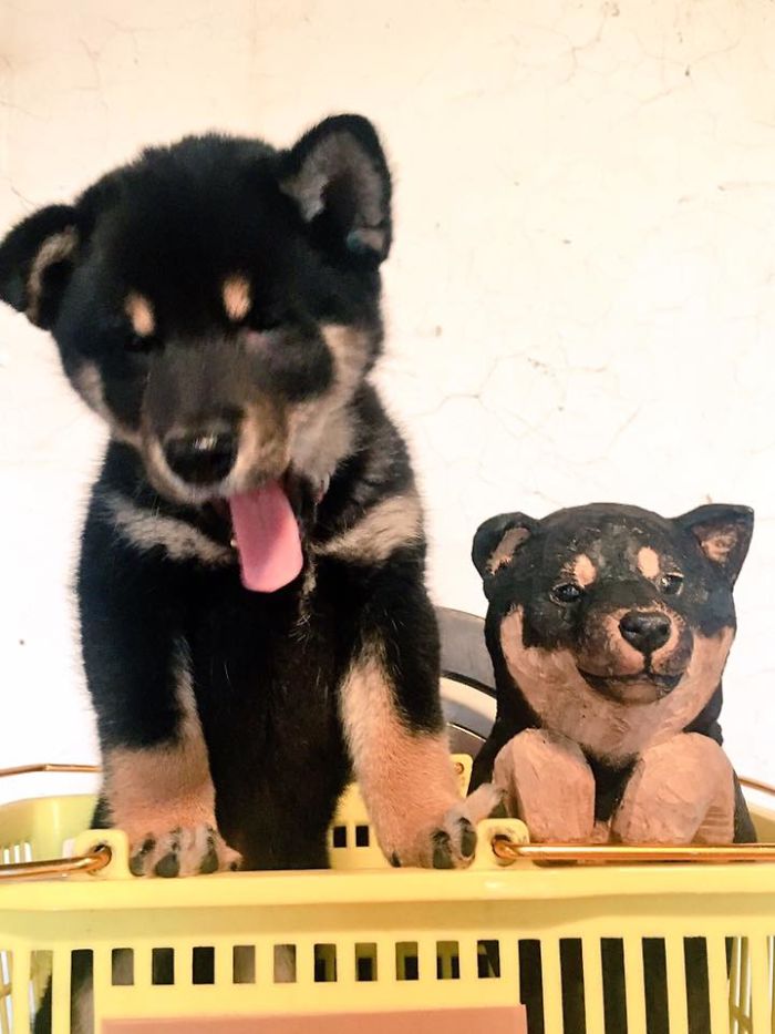 Cute Video Shows Dog Trying To Blend In Between Animal Sculptures