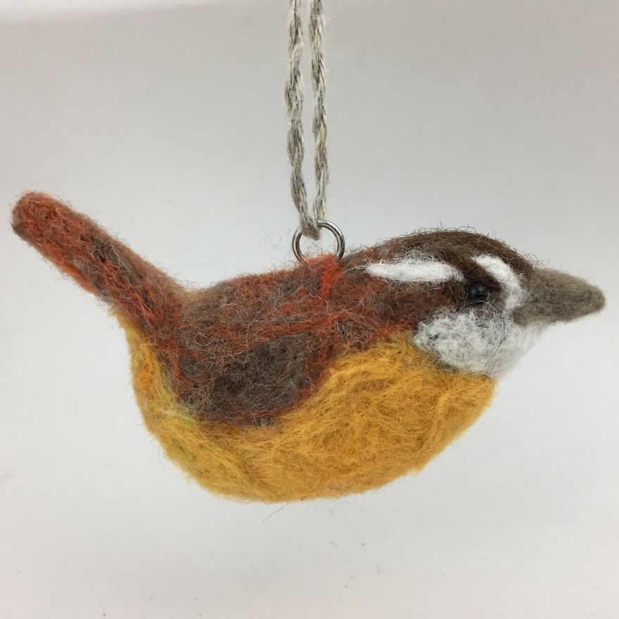 These Squirrels Formed A Book Club, But Did They All Read The Book?