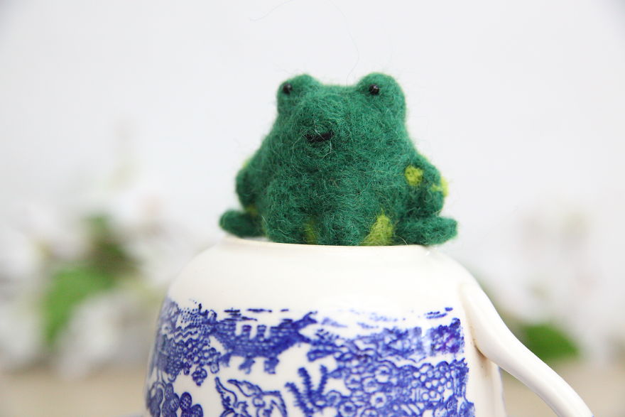 These Squirrels Formed A Book Club, But Did They All Read The Book?