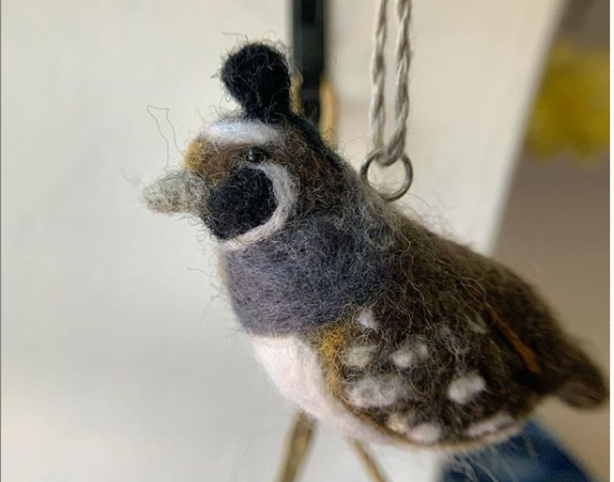 These Squirrels Formed A Book Club, But Did They All Read The Book?