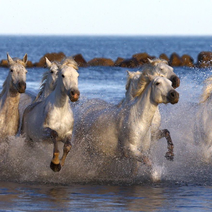This Russian Photographer Travels To Dangerous Places To Show The Beauty Of Wildlife