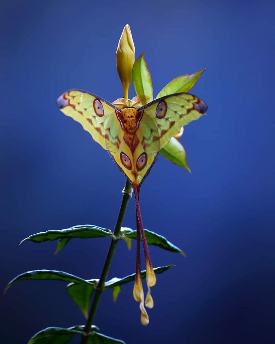 This Russian Photographer Travels To Dangerous Places To Show The Beauty Of Wildlife