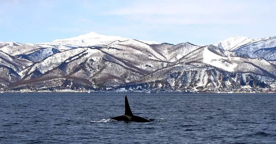 This Russian Photographer Travels To Dangerous Places To Show The Beauty Of Wildlife