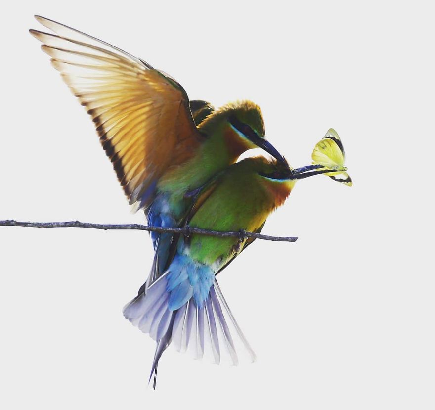 This Russian Photographer Travels To Dangerous Places To Show The Beauty Of Wildlife