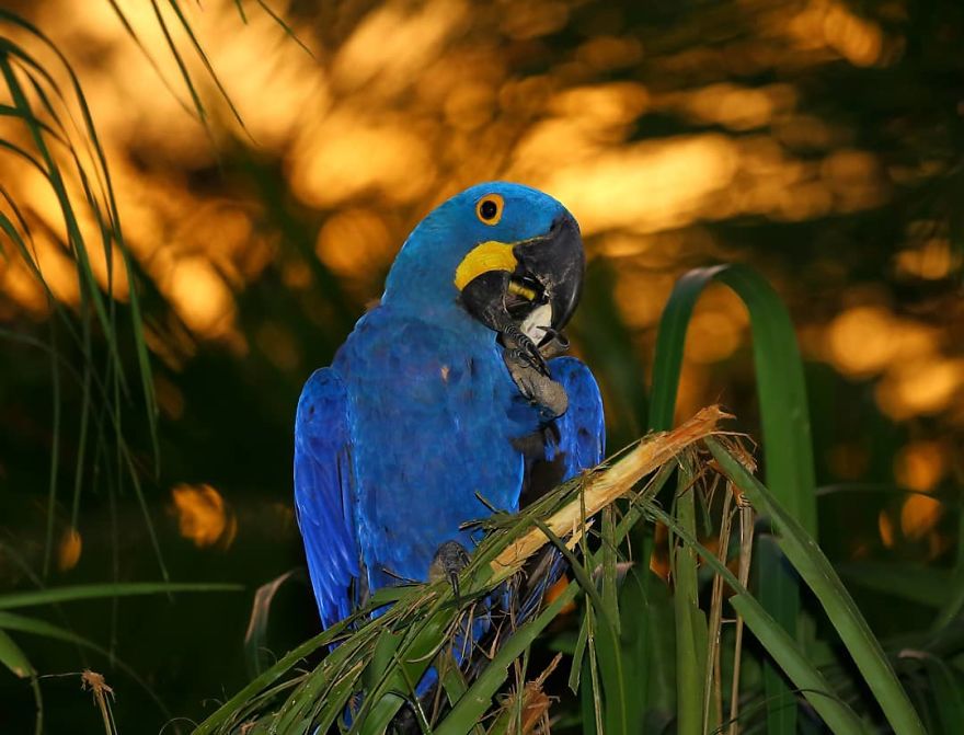 This Russian Photographer Travels To Dangerous Places To Show The Beauty Of Wildlife