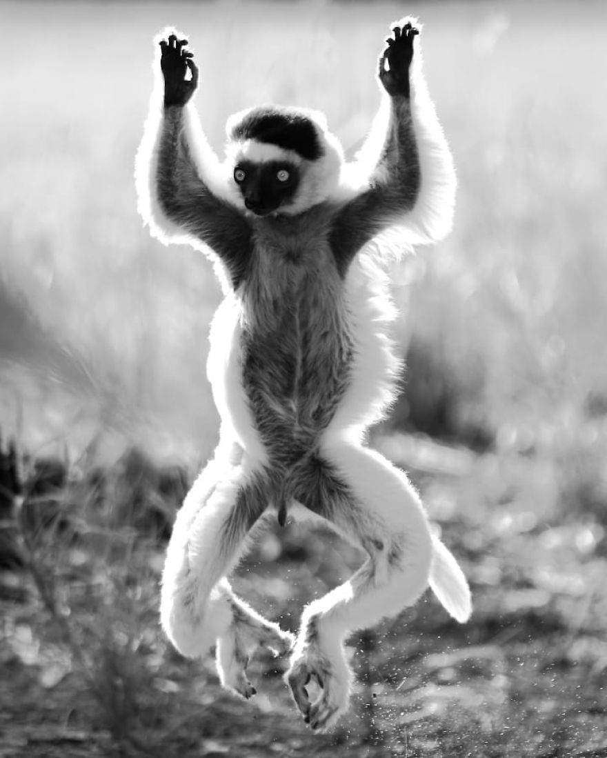 This Russian Photographer Travels To Dangerous Places To Show The Beauty Of Wildlife