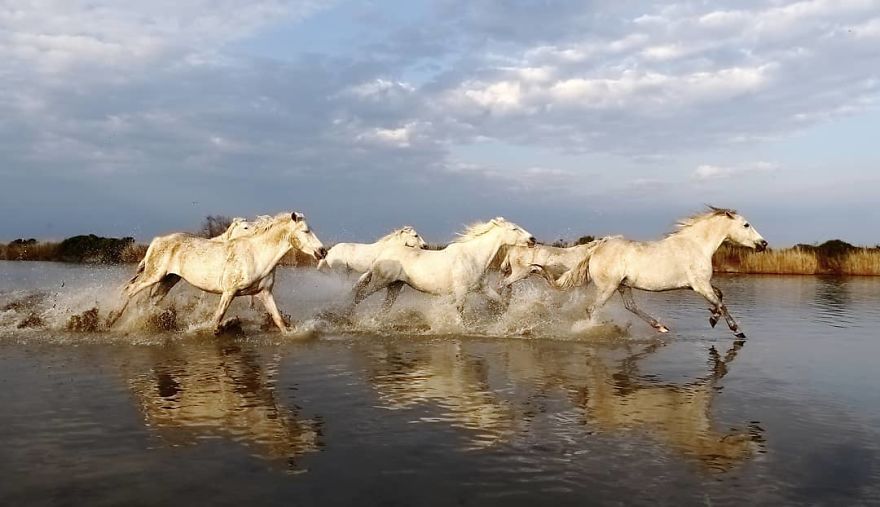 This Russian Photographer Travels To Dangerous Places To Show The Beauty Of Wildlife