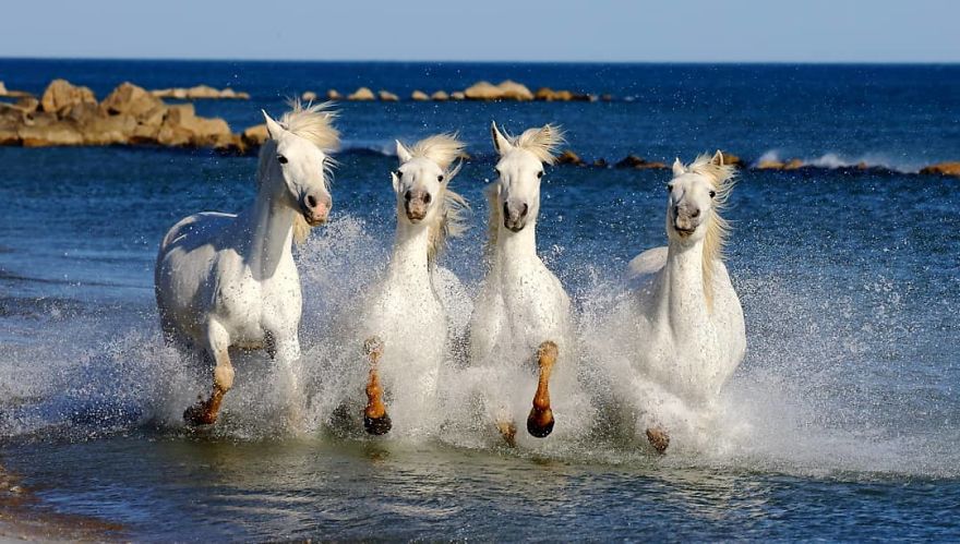 This Russian Photographer Travels To Dangerous Places To Show The Beauty Of Wildlife