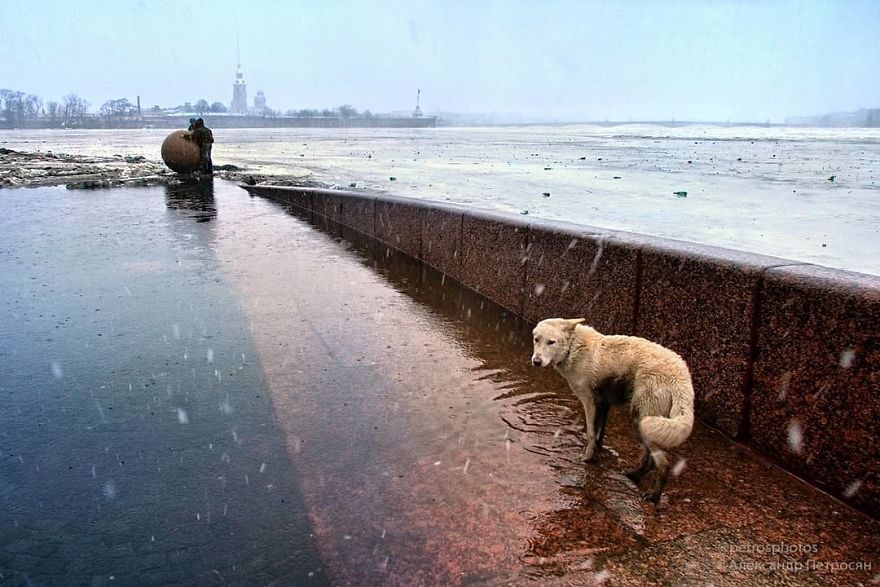 This Photographer Captures Everyday Life In Russia In Sincere Photographs (New Pics)