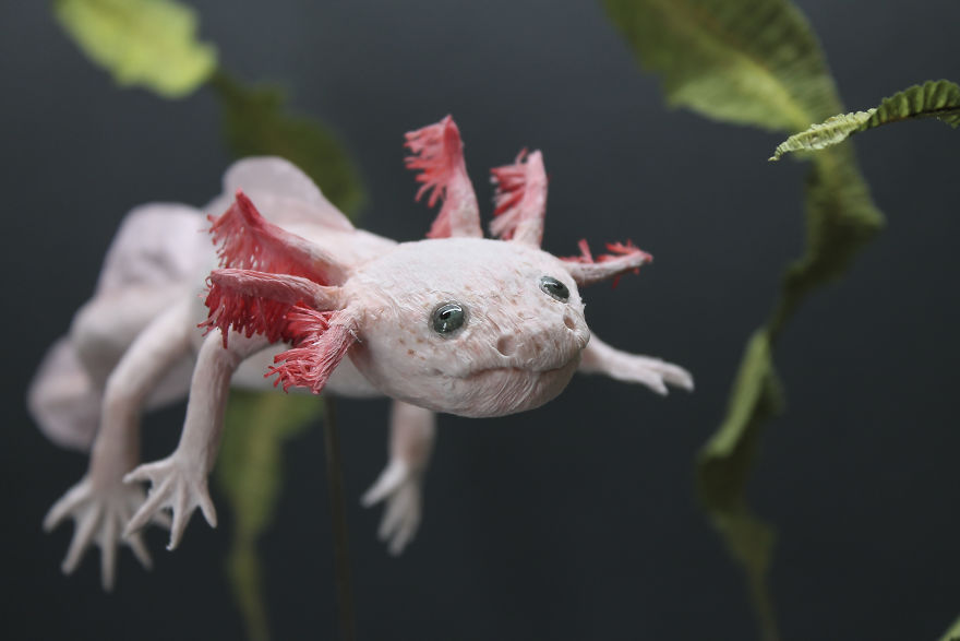 I Use My Unique Technique To Create Realistic Animals And Plants From Paper (34 New Pics) I Use My Unique Technique To Create Realistic Animals And Plants From Paper (34 New Pics)