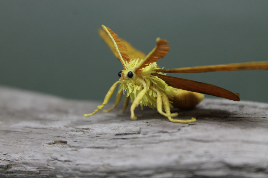 I Use My Unique Technique To Create Realistic Animals And Plants From Paper (34 New Pics) I Use My Unique Technique To Create Realistic Animals And Plants From Paper (34 New Pics)