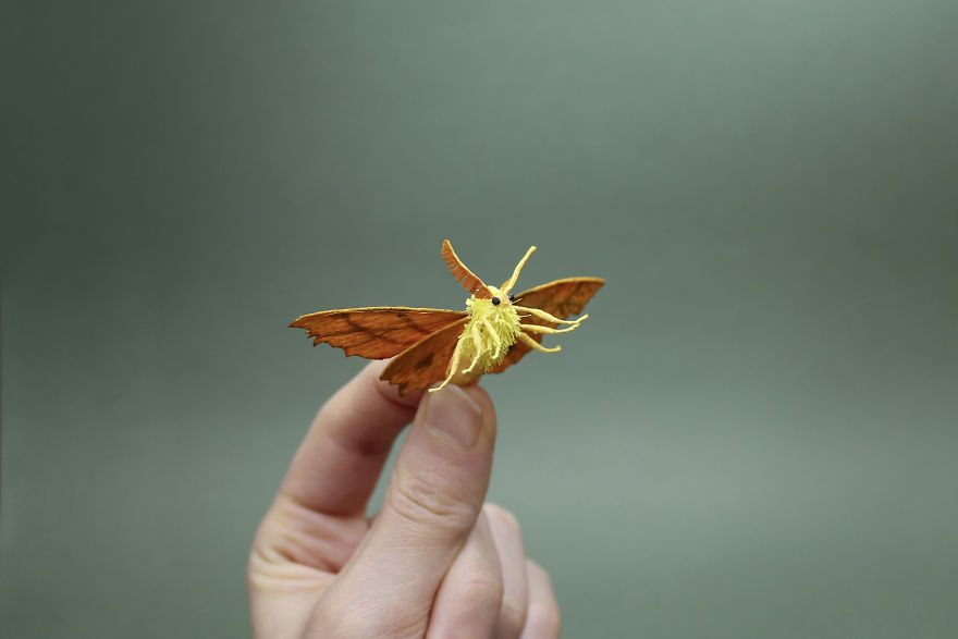 I Use My Unique Technique To Create Realistic Animals And Plants From Paper (34 New Pics) I Use My Unique Technique To Create Realistic Animals And Plants From Paper (34 New Pics)