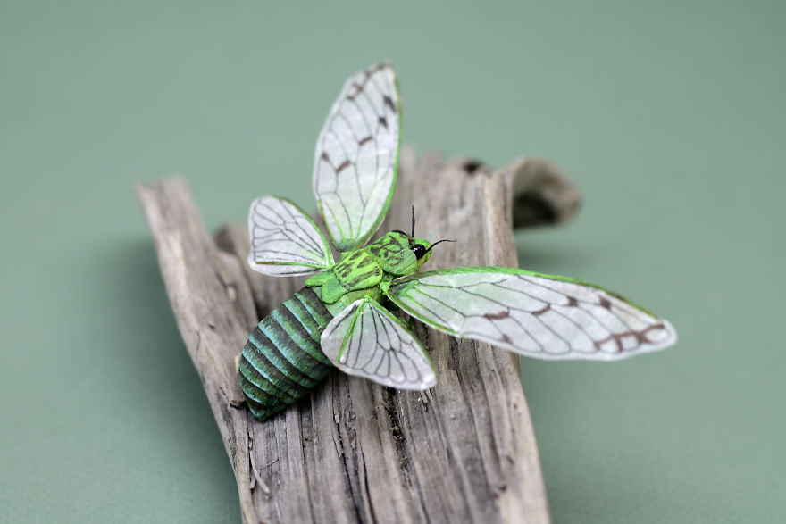 I Use My Unique Technique To Create Realistic Animals And Plants From Paper (34 New Pics) I Use My Unique Technique To Create Realistic Animals And Plants From Paper (34 New Pics)