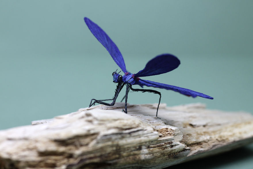 I Use My Unique Technique To Create Realistic Animals And Plants From Paper (34 New Pics) I Use My Unique Technique To Create Realistic Animals And Plants From Paper (34 New Pics)