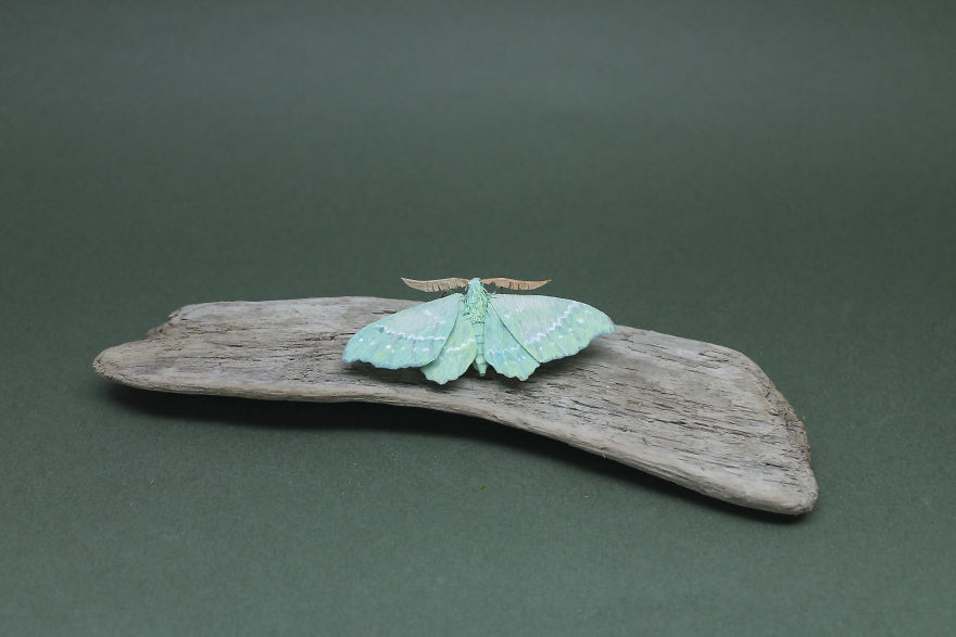 I Use My Unique Technique To Create Realistic Animals And Plants From Paper (34 New Pics) I Use My Unique Technique To Create Realistic Animals And Plants From Paper (34 New Pics)