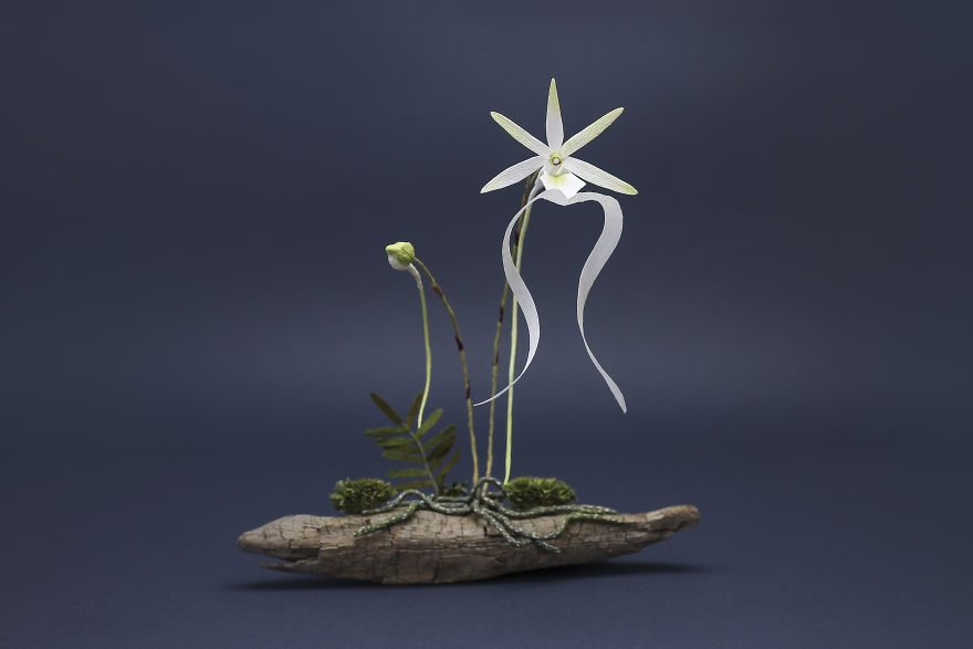 I Use My Unique Technique To Create Realistic Animals And Plants From Paper (34 New Pics) I Use My Unique Technique To Create Realistic Animals And Plants From Paper (34 New Pics)