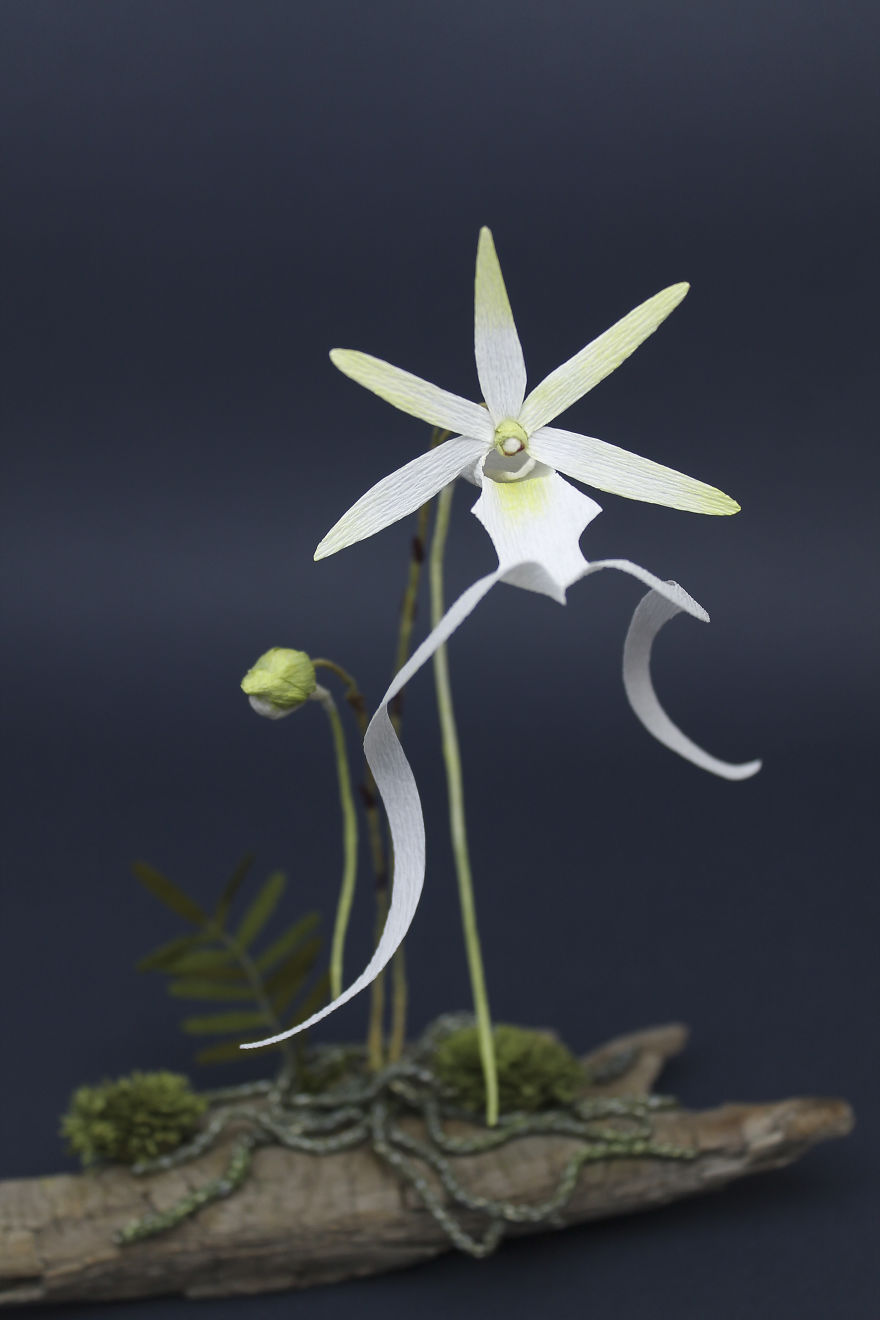 I Use My Unique Technique To Create Realistic Animals And Plants From Paper (34 New Pics) I Use My Unique Technique To Create Realistic Animals And Plants From Paper (34 New Pics)