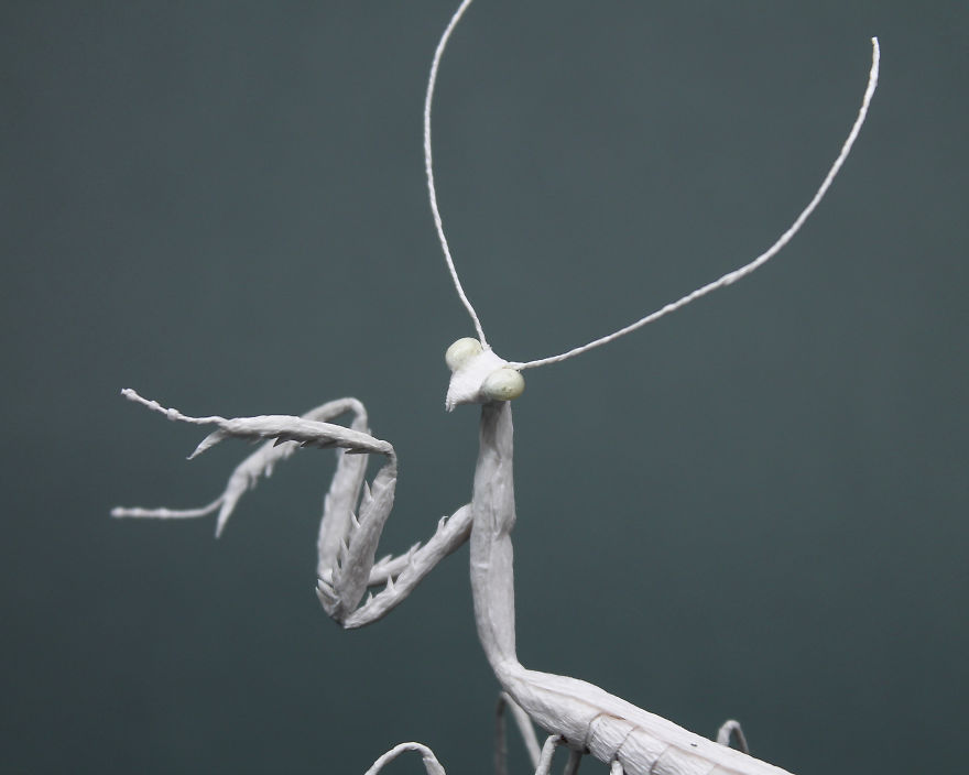 I Use My Unique Technique To Create Realistic Animals And Plants From Paper (34 New Pics) I Use My Unique Technique To Create Realistic Animals And Plants From Paper (34 New Pics)