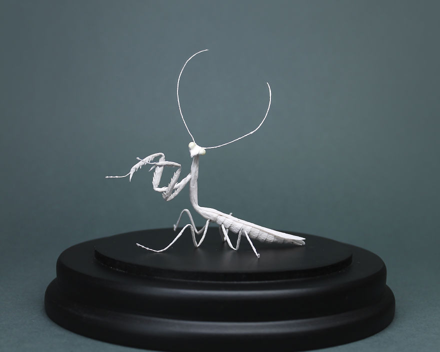 I Use My Unique Technique To Create Realistic Animals And Plants From Paper (34 New Pics) I Use My Unique Technique To Create Realistic Animals And Plants From Paper (34 New Pics)