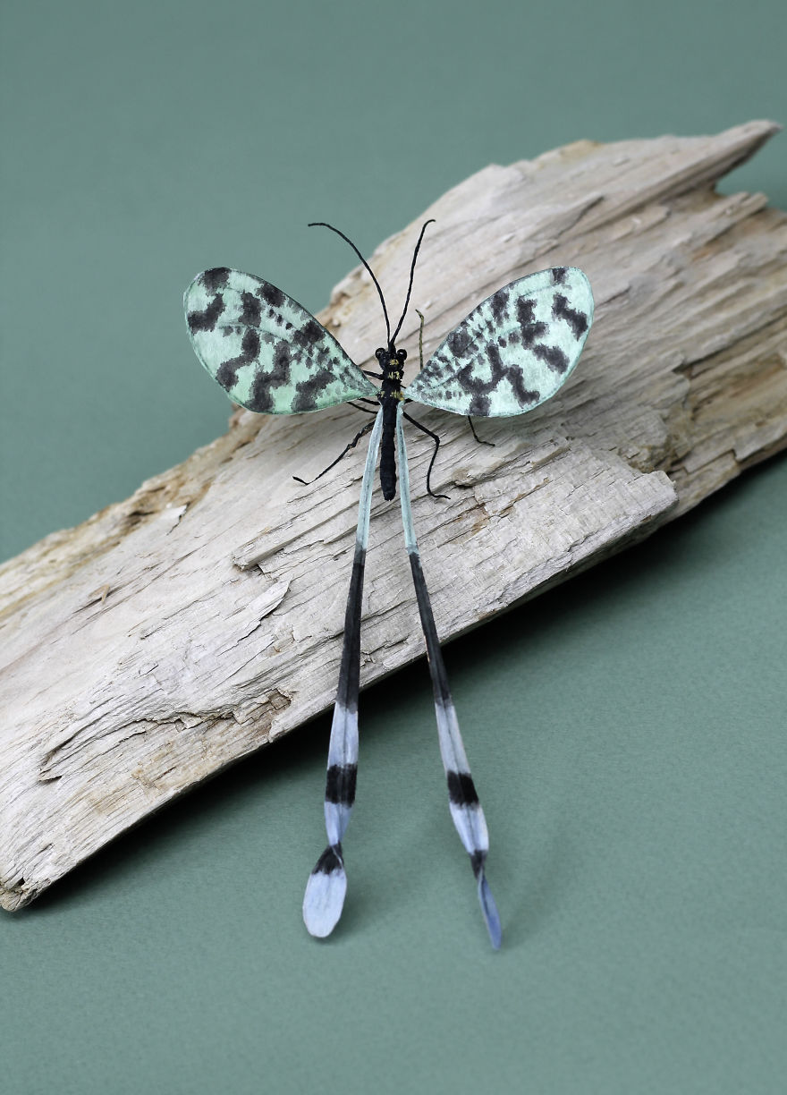 I Use My Unique Technique To Create Realistic Animals And Plants From Paper (34 New Pics) I Use My Unique Technique To Create Realistic Animals And Plants From Paper (34 New Pics)