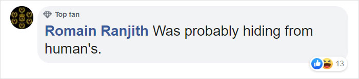 Tiny Elephant Shrews Have Been Rediscovered In Africa After Being Classed As A 'Lost Species' For The Last 50 Years