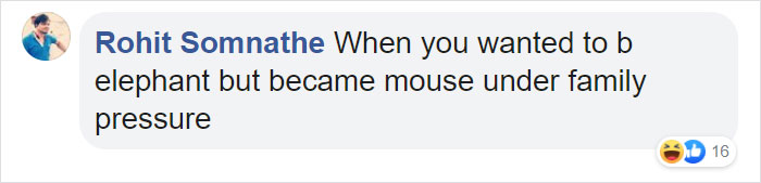 Tiny Elephant Shrews Have Been Rediscovered In Africa After Being Classed As A 'Lost Species' For The Last 50 Years