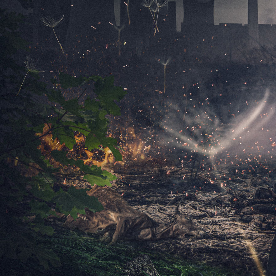 Year 2020 In One Image, So Far Year 2020 In One Image, So Far