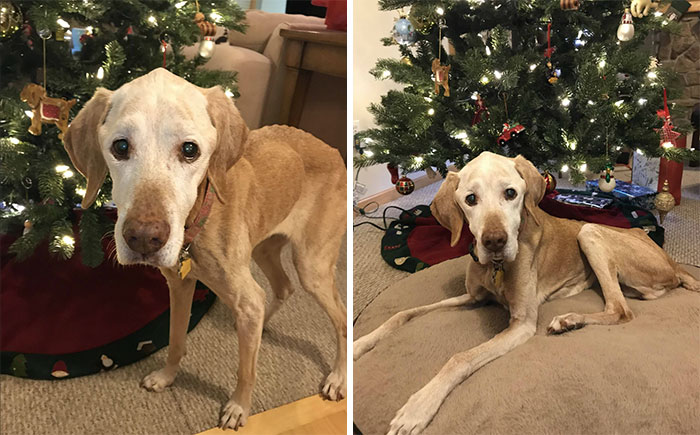 This Is Scarlett, Who Just Turned 17