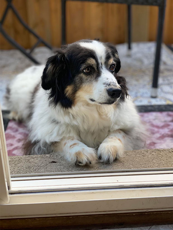  My 13-Year-Old Buddy