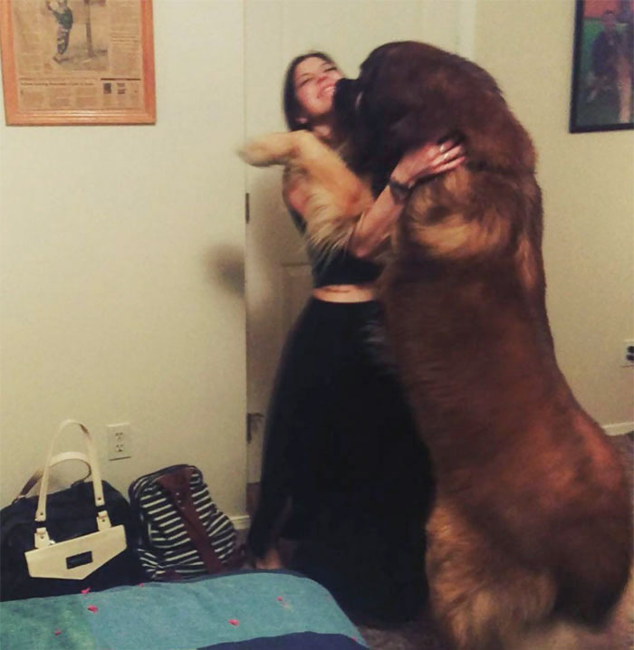 Happy Birthday To My Boy Atlas. 9 Years Old. My Best Friend