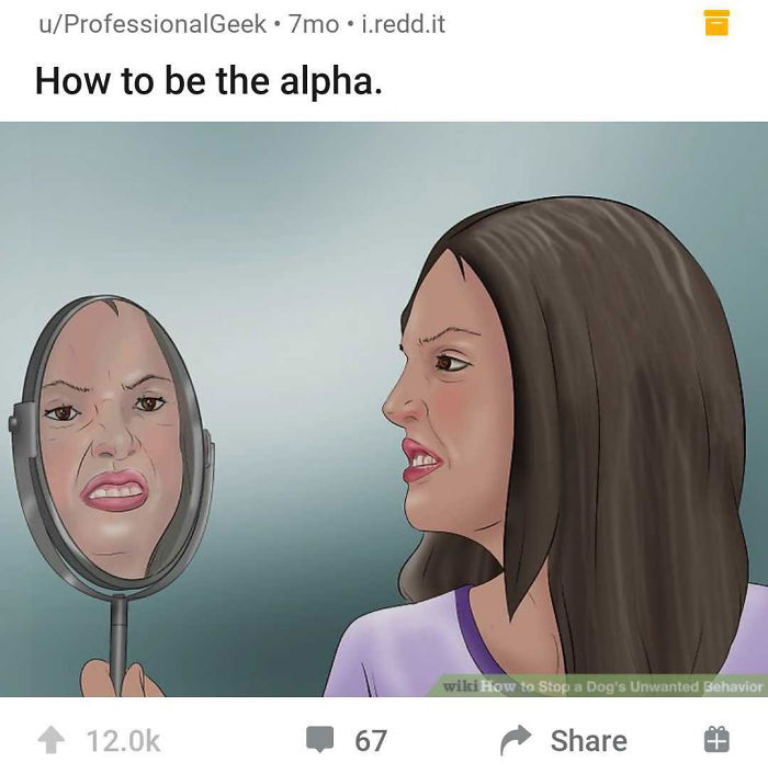 Alternate-Fake-Captions-Out-Of-Context-Wikihow-Images