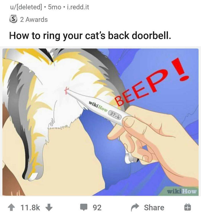 Alternate-Fake-Captions-Out-Of-Context-Wikihow-Images