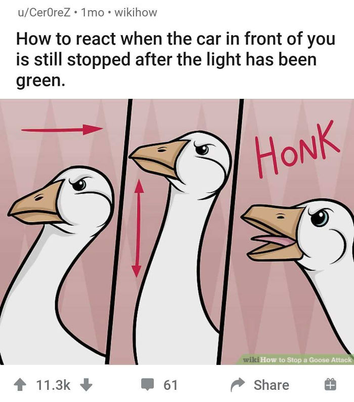 Alternate-Fake-Captions-Out-Of-Context-Wikihow-Images