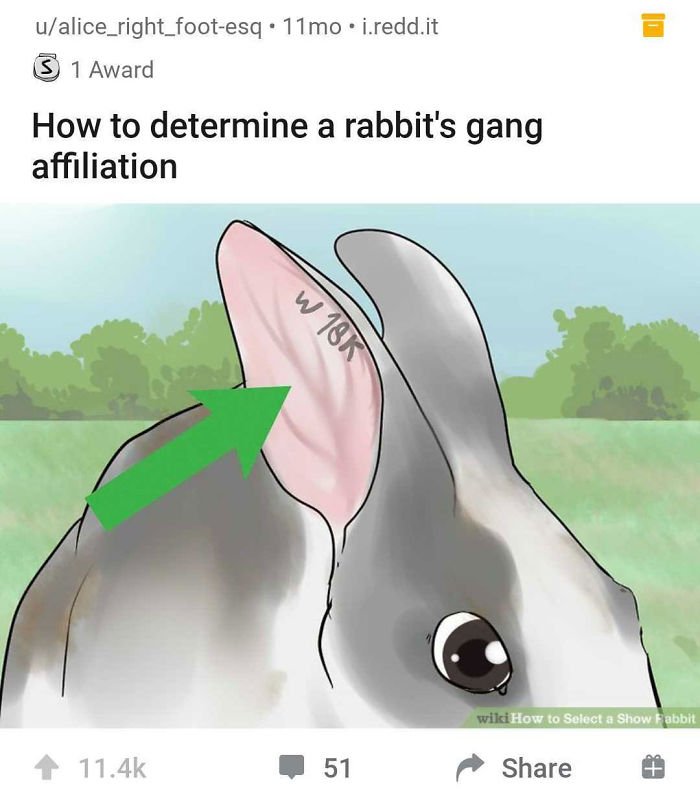 Alternate-Fake-Captions-Out-Of-Context-Wikihow-Images