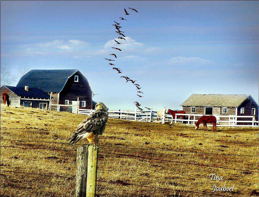 Road Trips In And Around Calgary Alberta