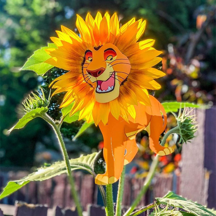 Artist From Seattle Uses Paper Cutouts To Lighten Up The Streets (60 Pics)